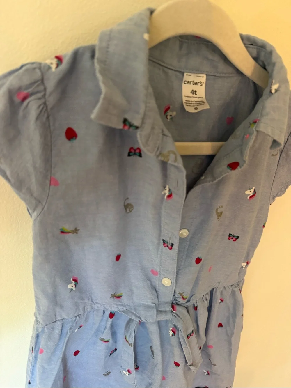 Carter's Light Blue Button-Front Embroidered Casual Dress